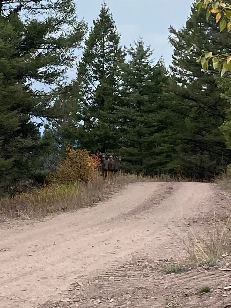25575 Patter Spur Road Clinton MT 59825