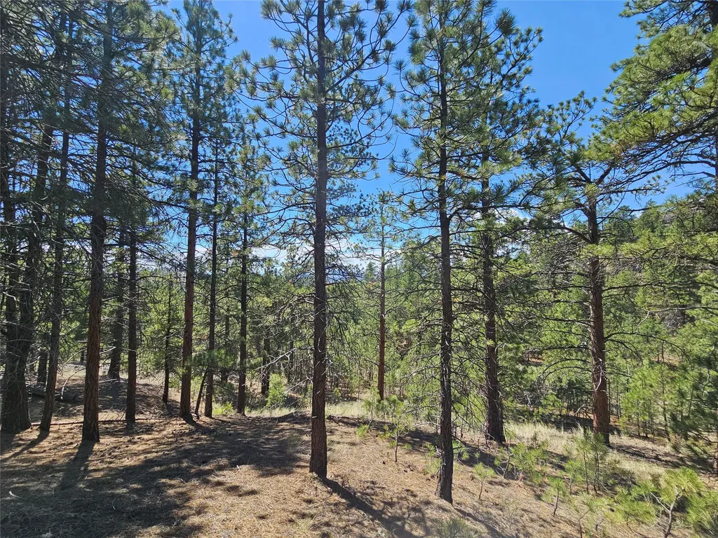 Nhn Upper Sawmill Creek Road Cascade MT 59421