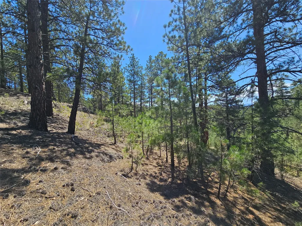 Nhn Upper Sawmill Creek Road Cascade MT 59421