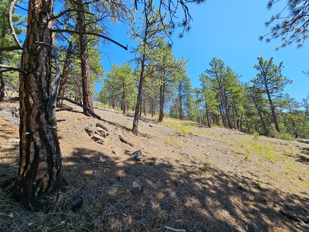 Nhn Upper Sawmill Creek Road Cascade MT 59421
