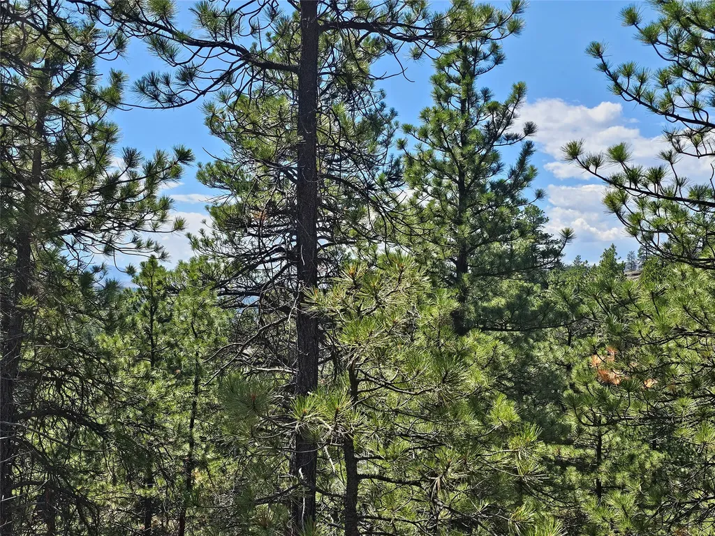 Nhn Upper Sawmill Creek Road Cascade MT 59421