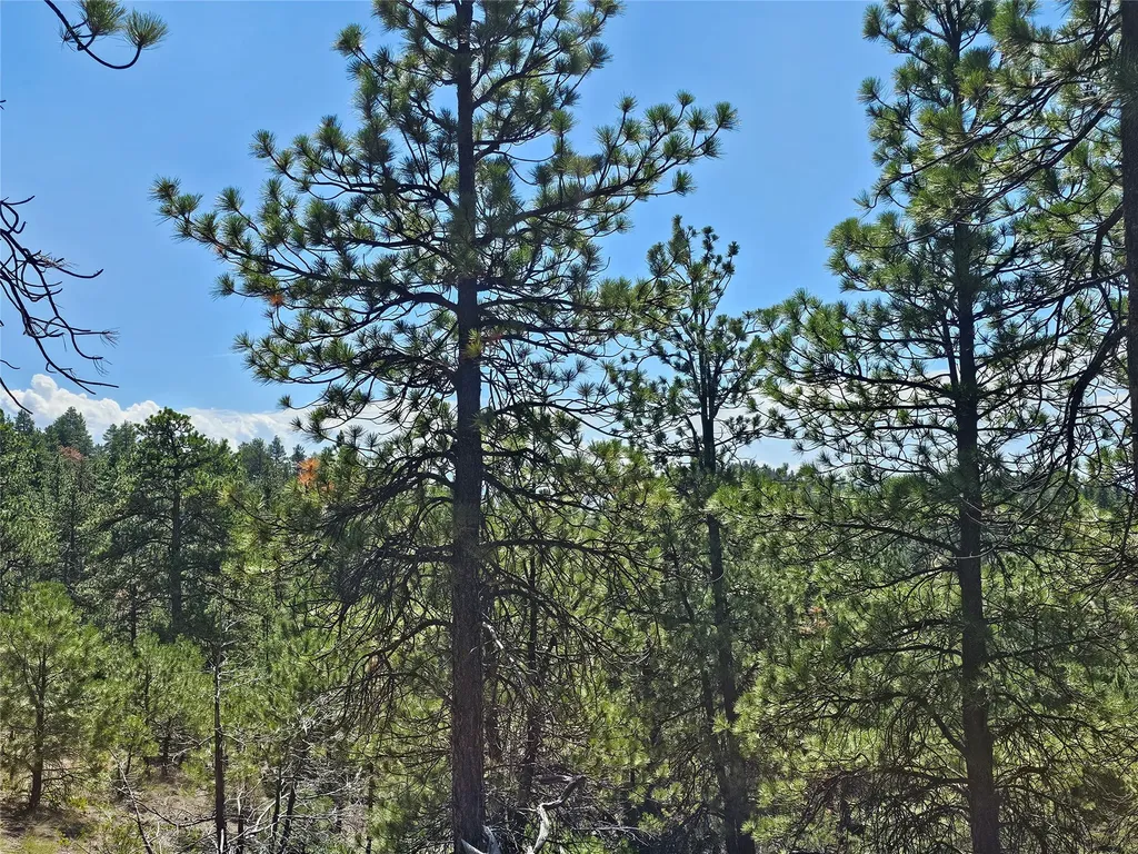 Nhn Upper Sawmill Creek Road Cascade MT 59421