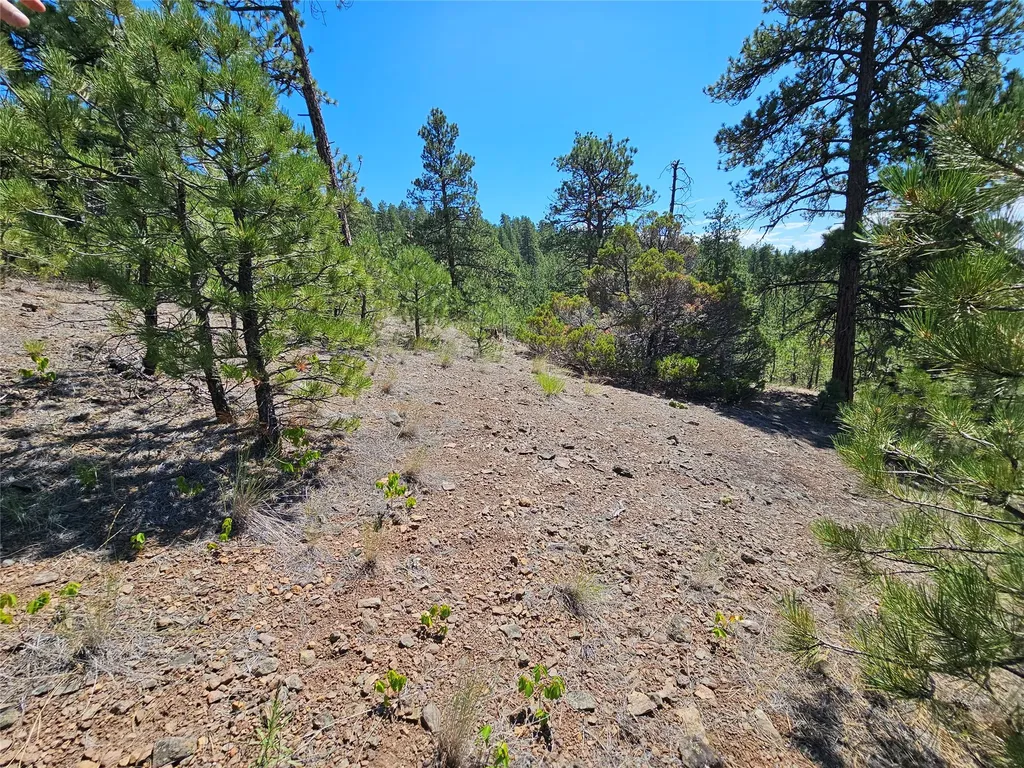 Nhn Upper Sawmill Creek Road Cascade MT 59421