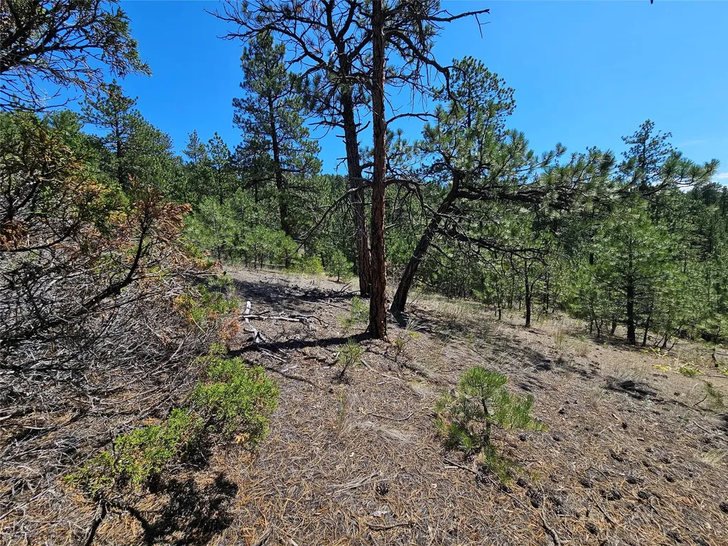 Nhn Upper Sawmill Creek Road Cascade MT 59421