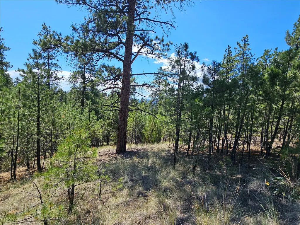 Nhn Upper Sawmill Creek Road Cascade MT 59421