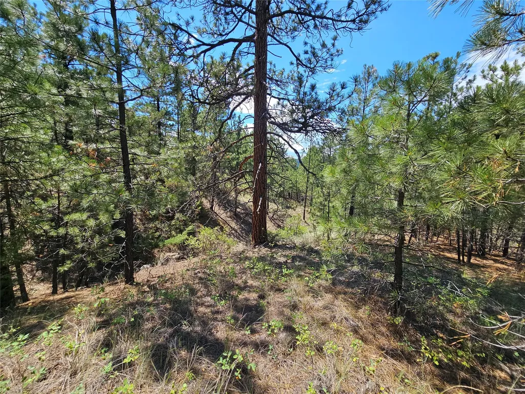 Nhn Upper Sawmill Creek Road Cascade MT 59421