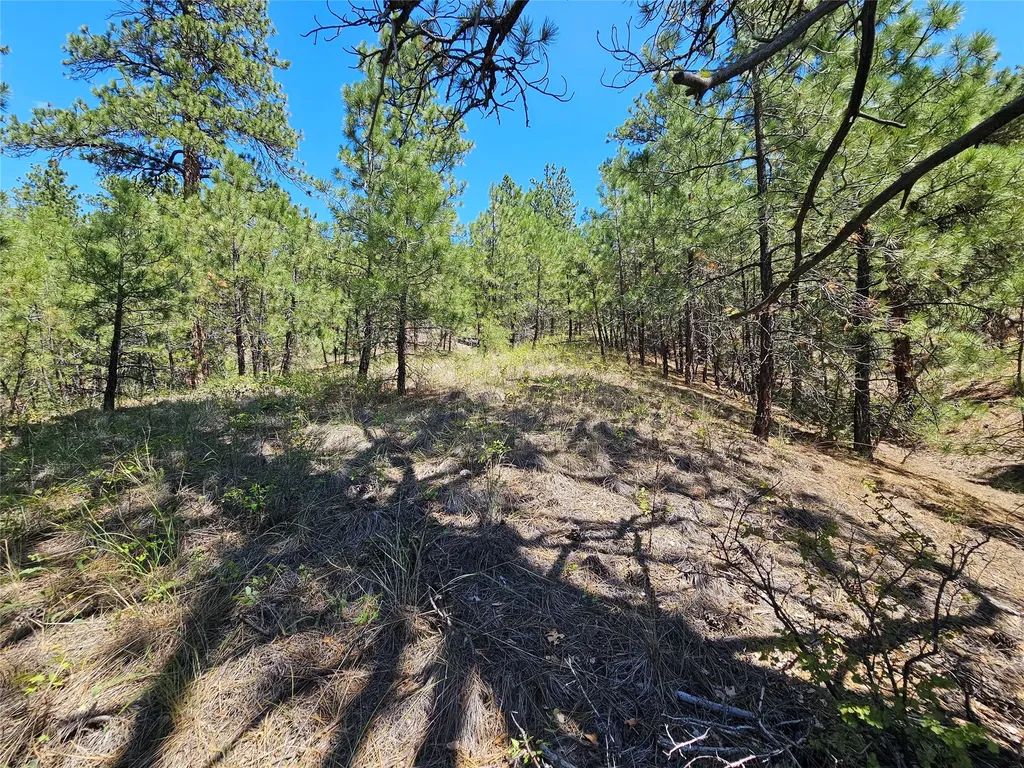 Nhn Upper Sawmill Creek Road Cascade MT 59421