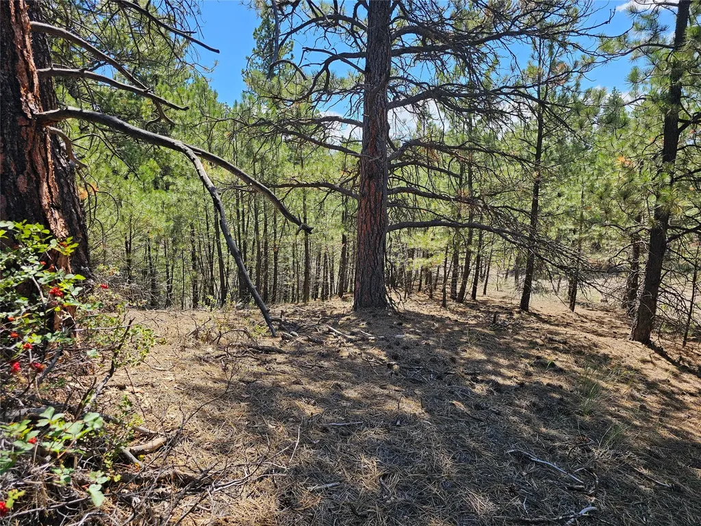 Nhn Upper Sawmill Creek Road Cascade MT 59421