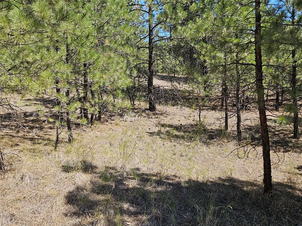 Nhn Upper Sawmill Creek Road Cascade MT 59421