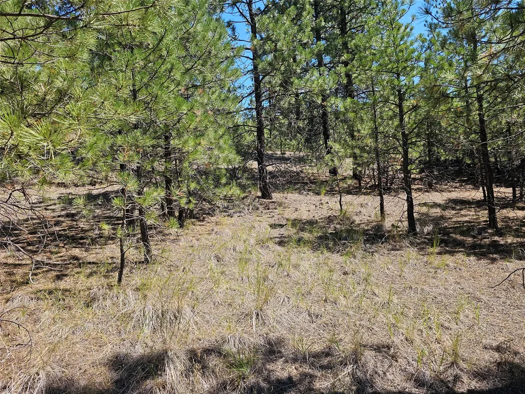 Nhn Upper Sawmill Creek Road Cascade MT 59421