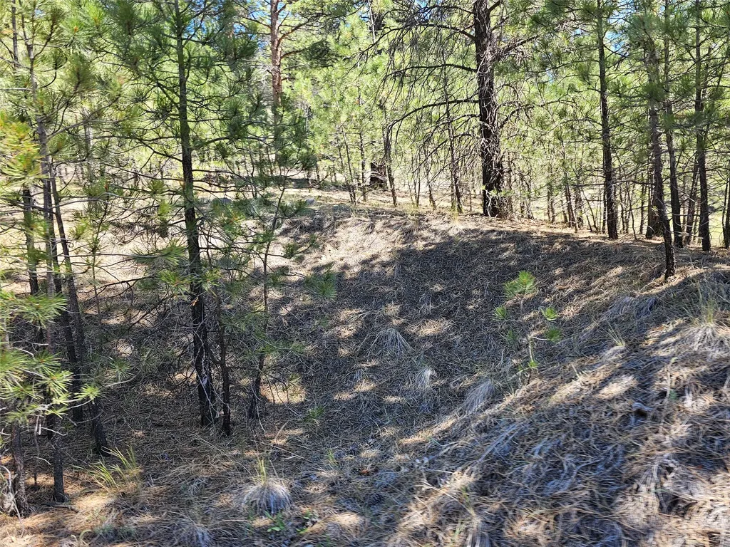 Nhn Upper Sawmill Creek Road Cascade MT 59421