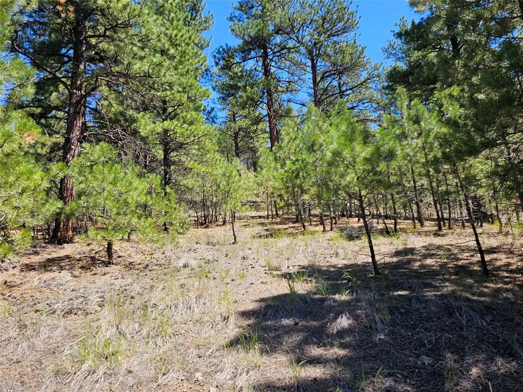 Nhn Upper Sawmill Creek Road Cascade MT 59421