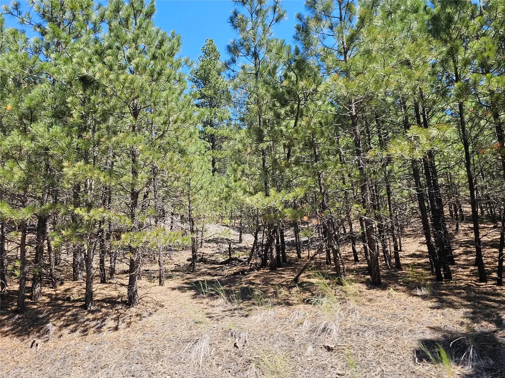 Nhn Upper Sawmill Creek Road Cascade MT 59421