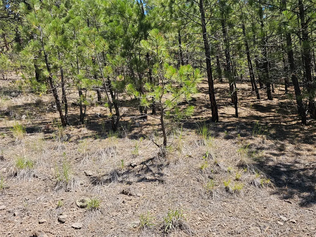 Nhn Upper Sawmill Creek Road Cascade MT 59421