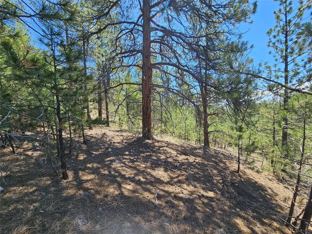 Nhn Upper Sawmill Creek Road Cascade MT 59421