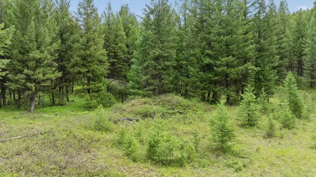 Nhn Johnson Draw Road Rexford MT 59930