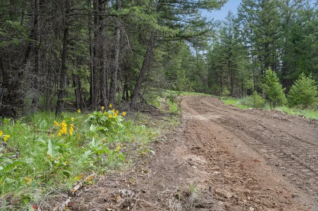 Nhn Johnson Draw Road Rexford MT 59930