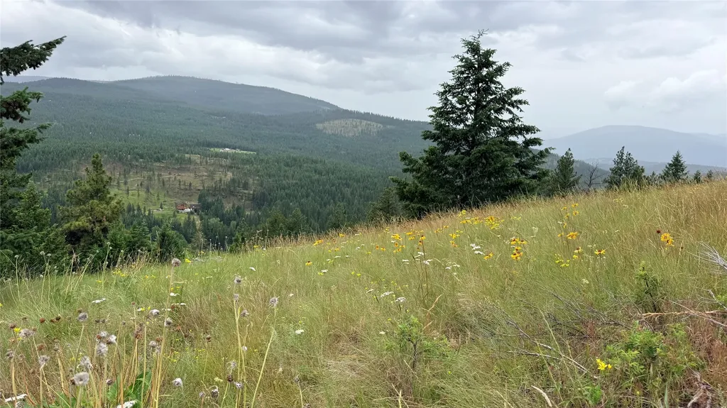 Nhn Johnson Draw Road Rexford MT 59930