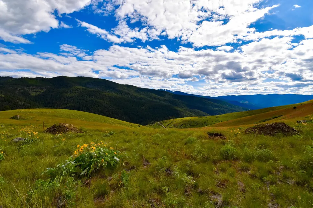 Tract 3 Henry Creek Road Plains MT 59859
