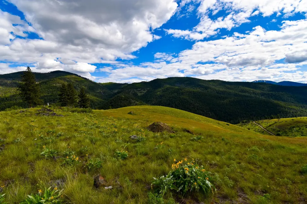 Tract 3 Henry Creek Road Plains MT 59859