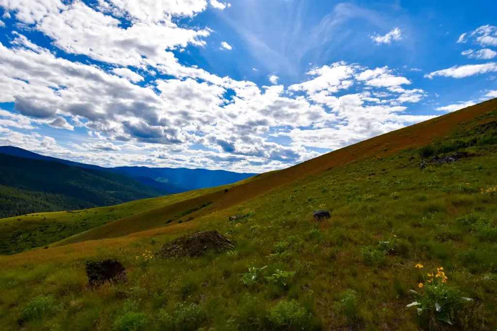Tract 3 Henry Creek Road Plains MT 59859