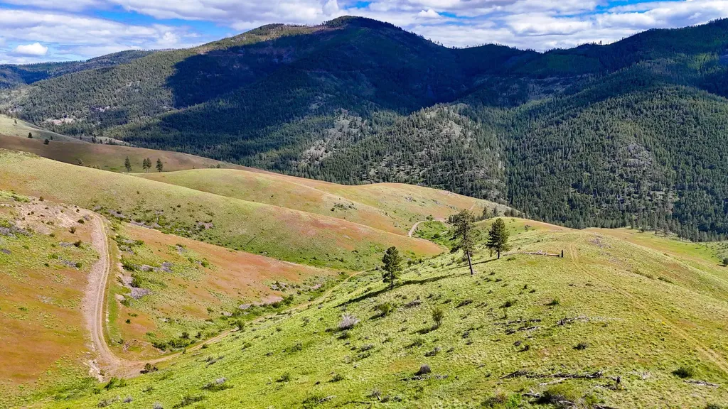 Tract 3 Henry Creek Road Plains MT 59859