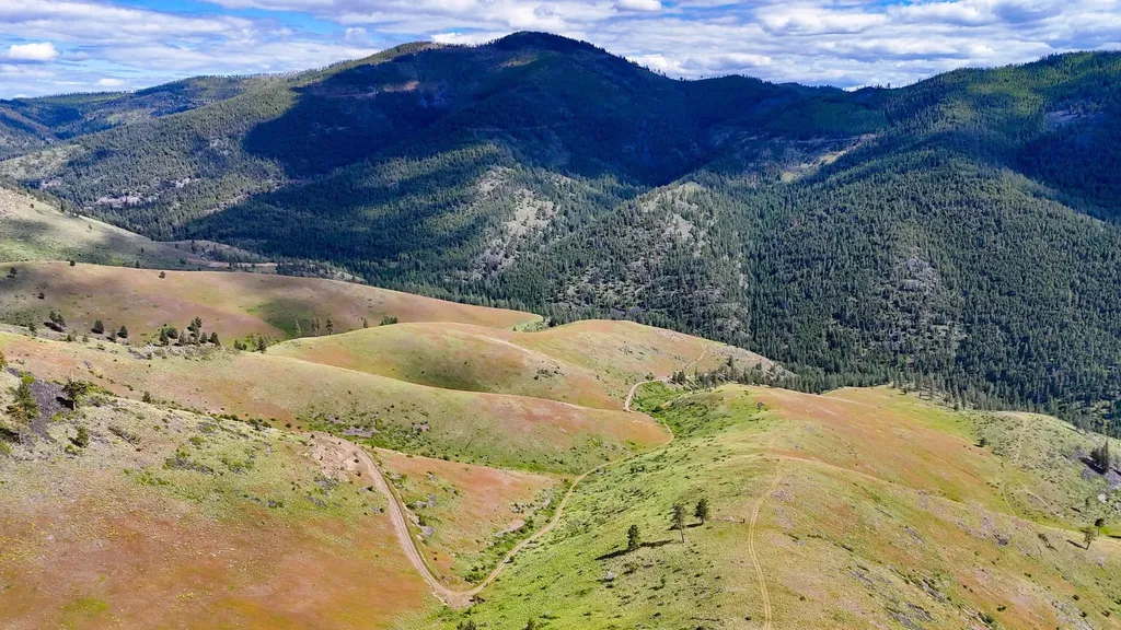 Tract 3 Henry Creek Road Plains MT 59859