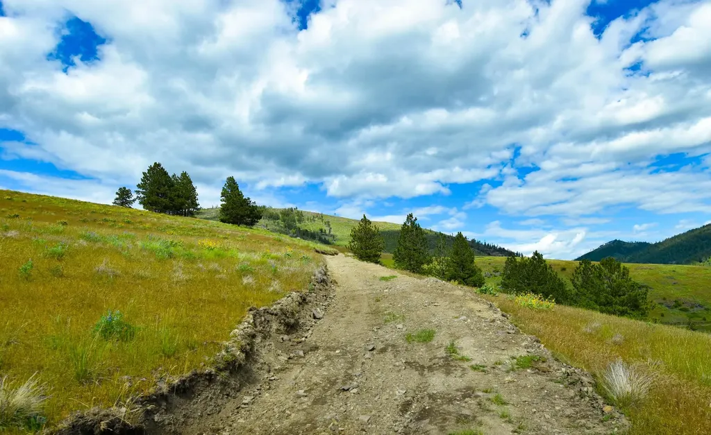 Tract 3 Henry Creek Road Plains MT 59859