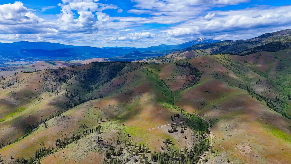 Tract 3 Henry Creek Road Plains MT 59859