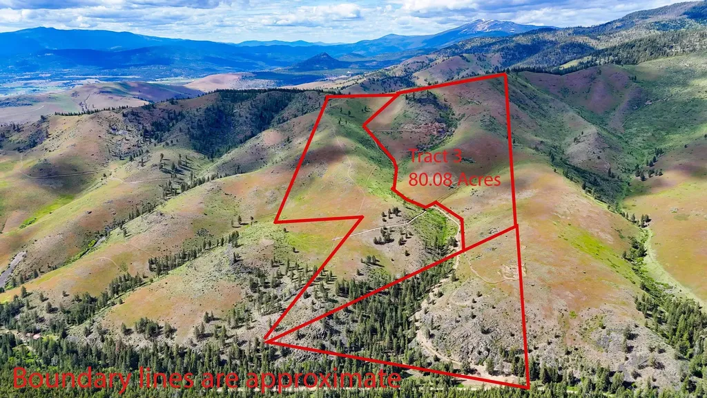 Tract 3 Henry Creek Road Plains MT 59859