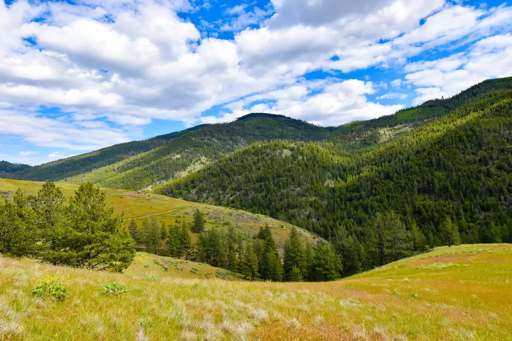 Tract 3 Henry Creek Road Plains MT 59859