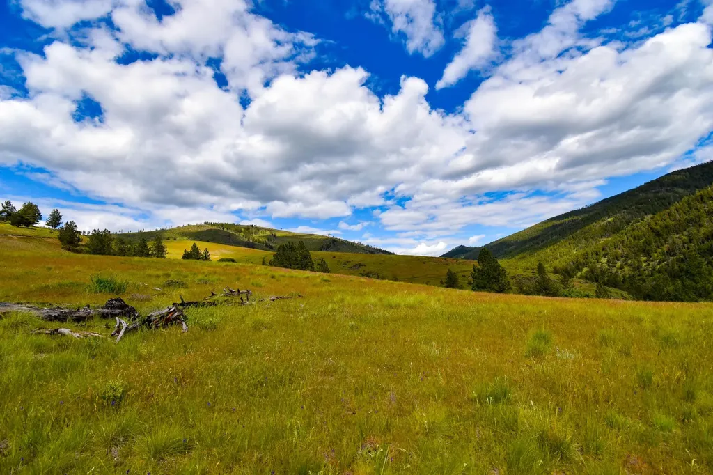 285 Henry Creek Road Plains MT 59859
