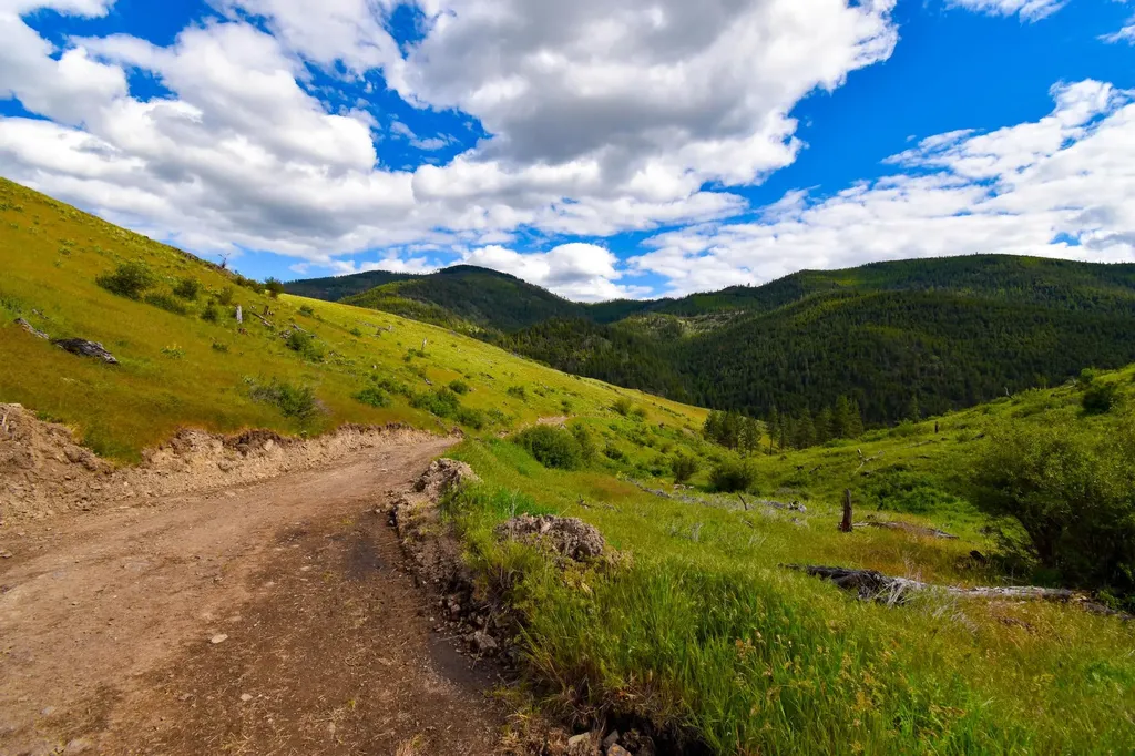 285 Henry Creek Road Plains MT 59859