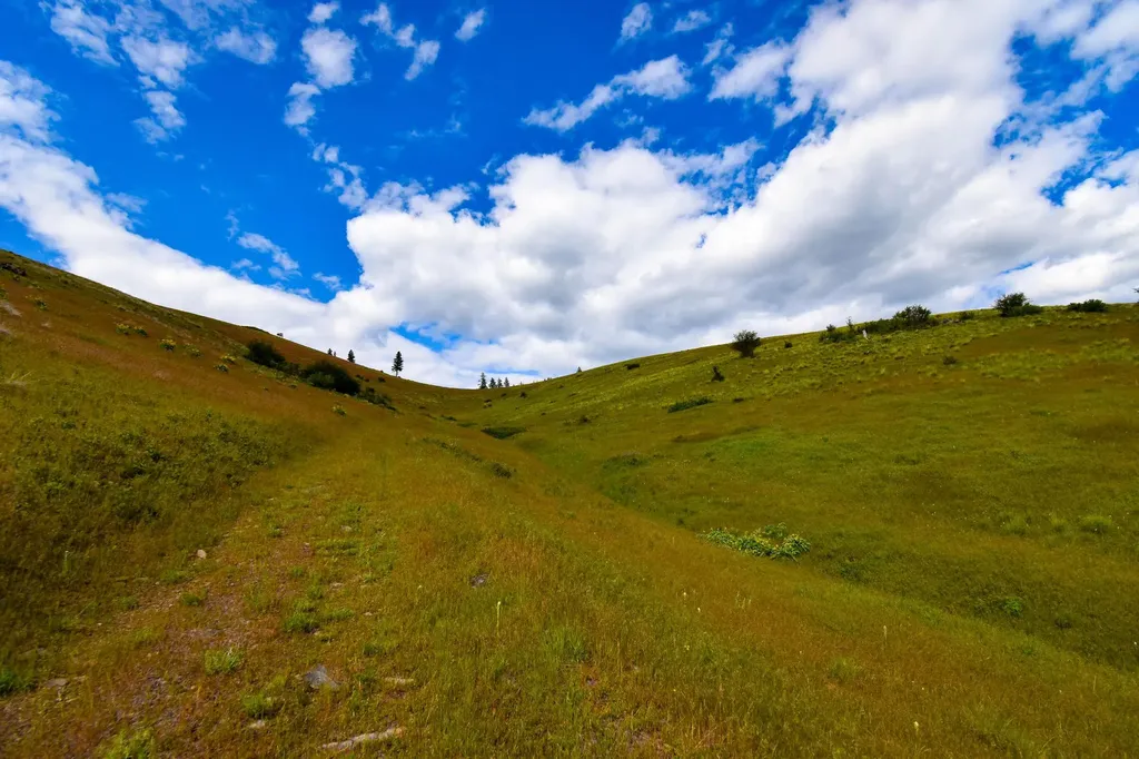285 Henry Creek Road Plains MT 59859