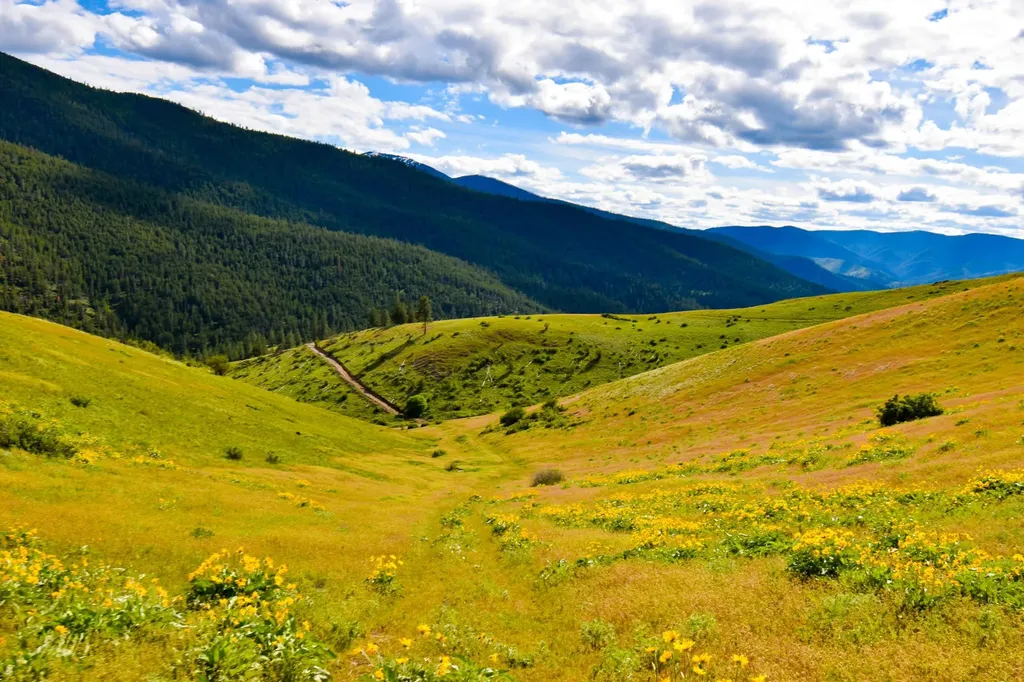 285 Henry Creek Road Plains MT 59859