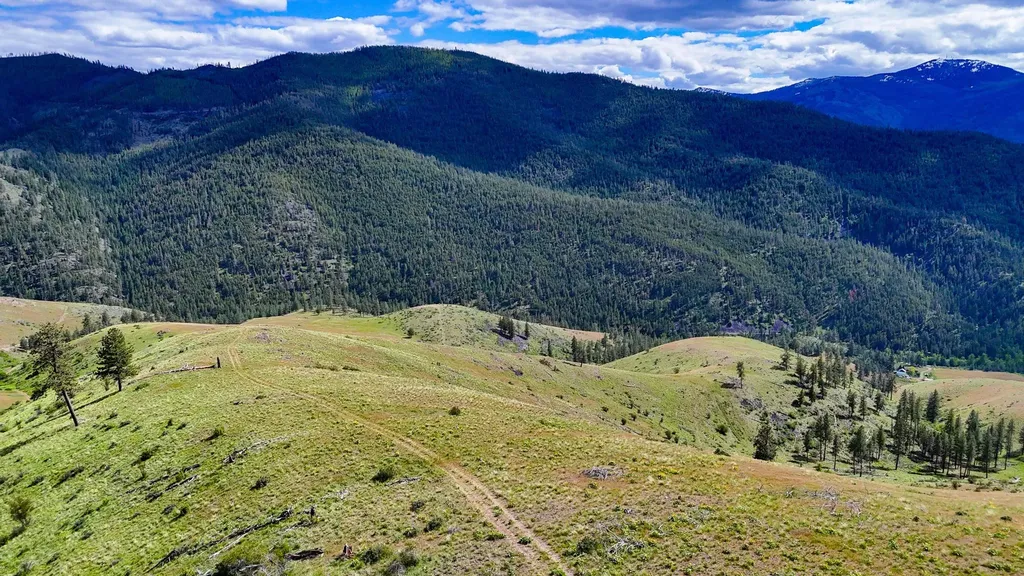 285 Henry Creek Road Plains MT 59859