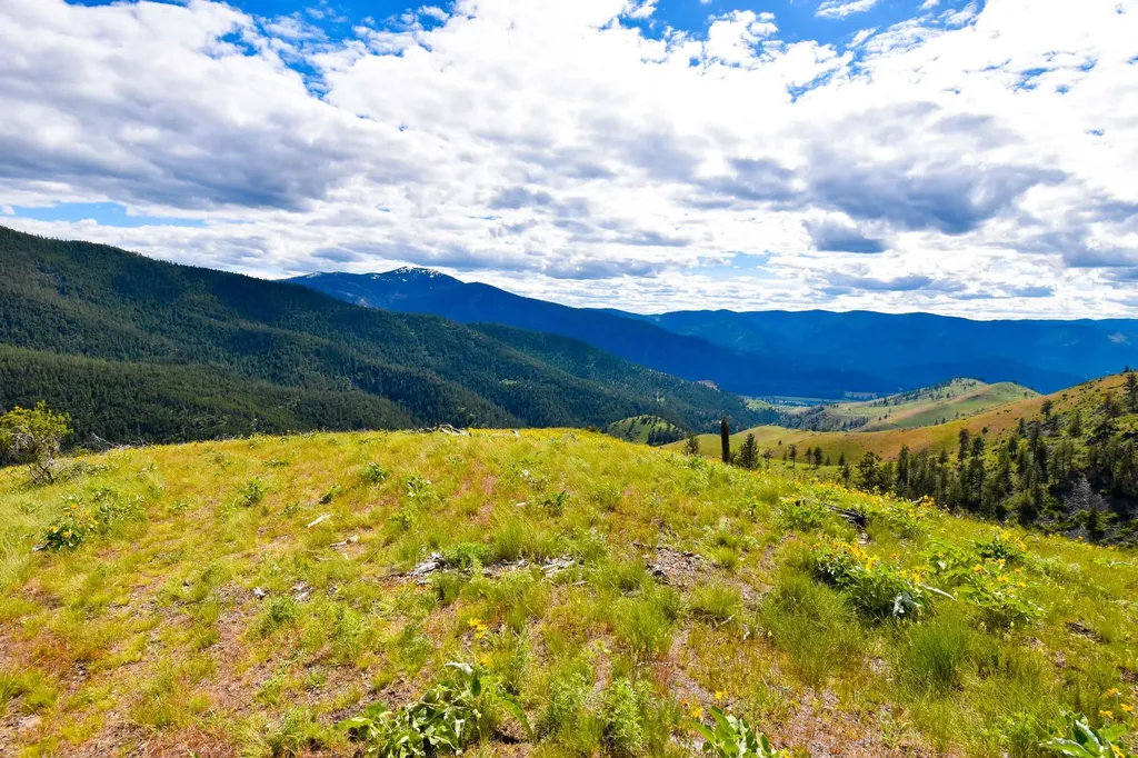 285 Henry Creek Road Plains MT 59859
