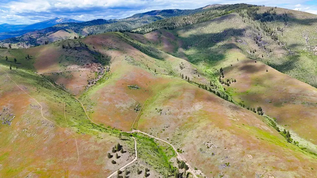 285 Henry Creek Road Plains MT 59859