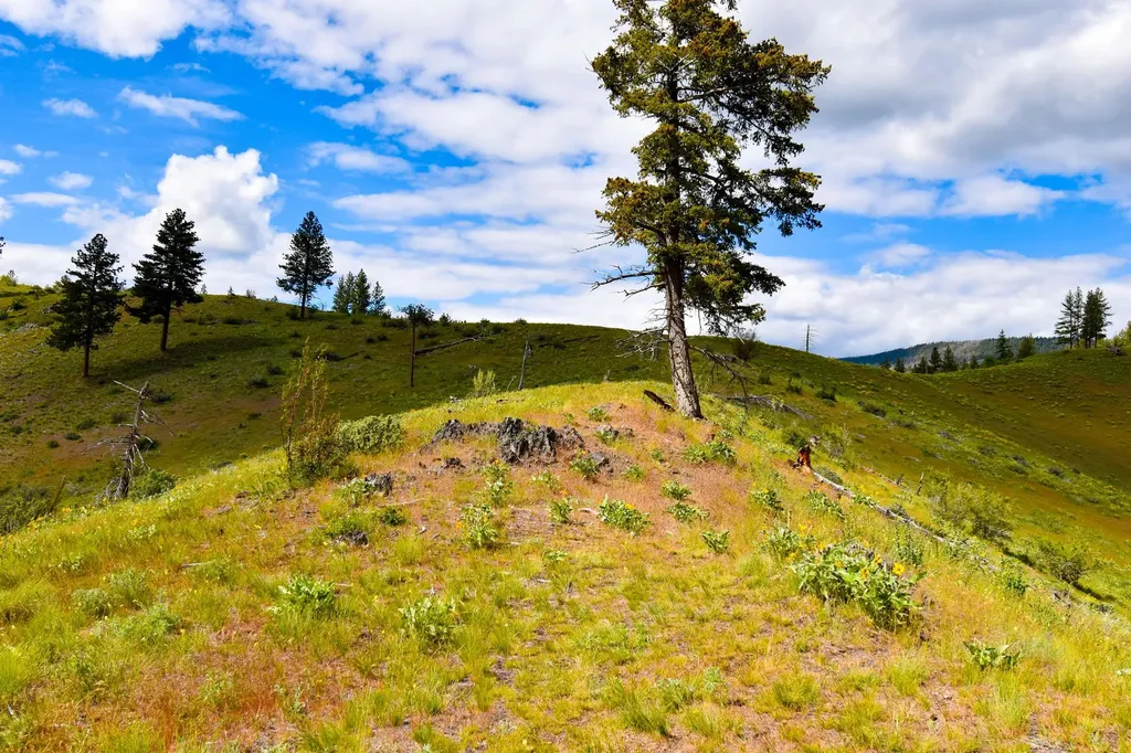 285 Henry Creek Road Plains MT 59859