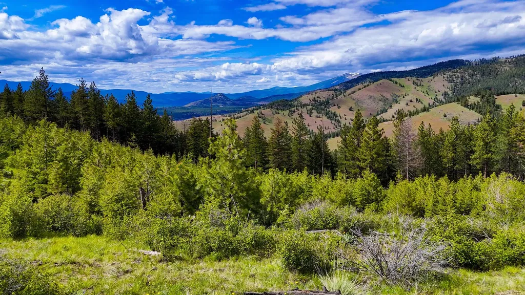 285 Henry Creek Road Plains MT 59859