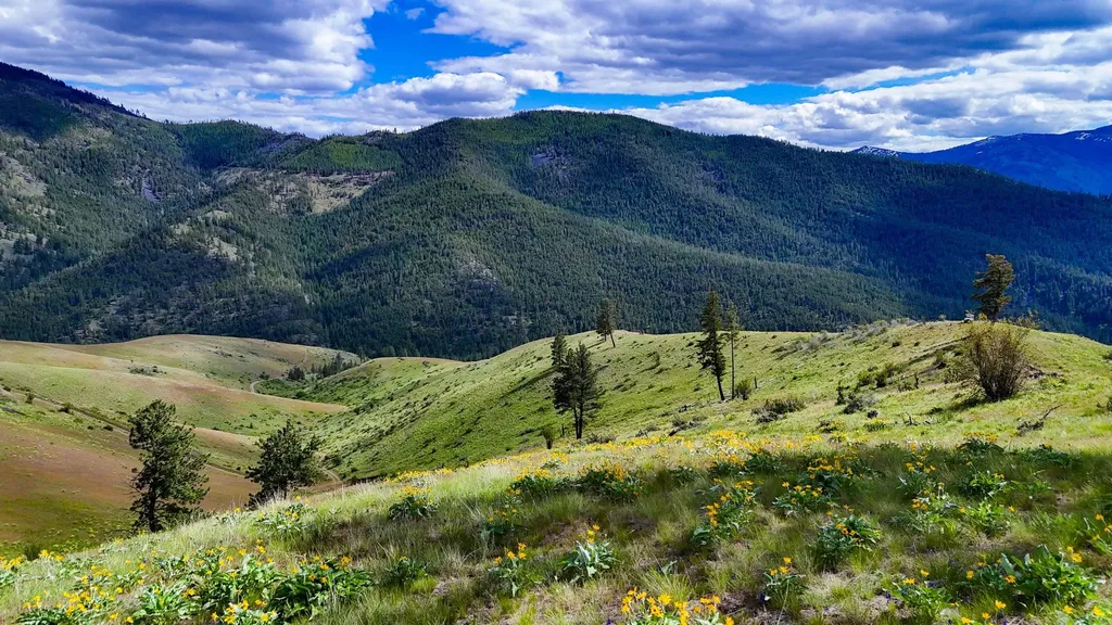 285 Henry Creek Road Plains MT 59859