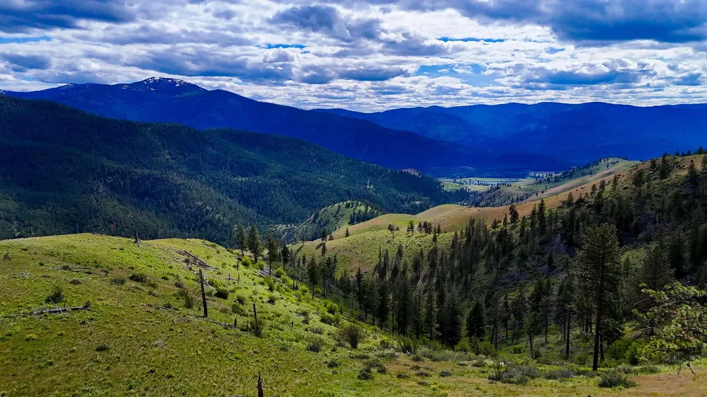 285 Henry Creek Road Plains MT 59859