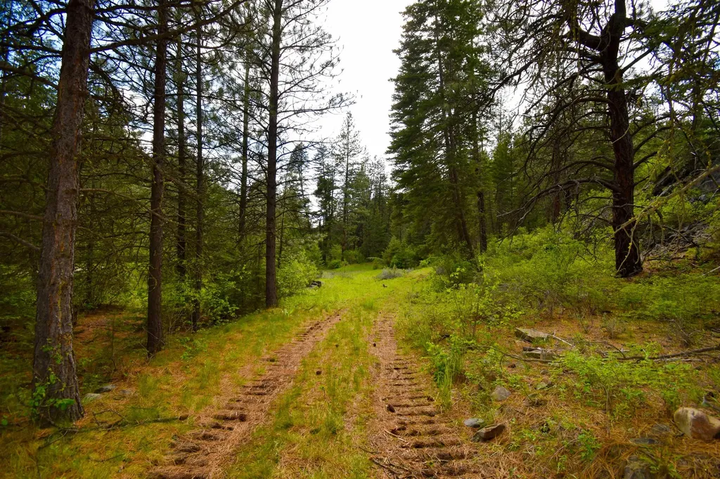 285 Henry Creek Road Plains MT 59859