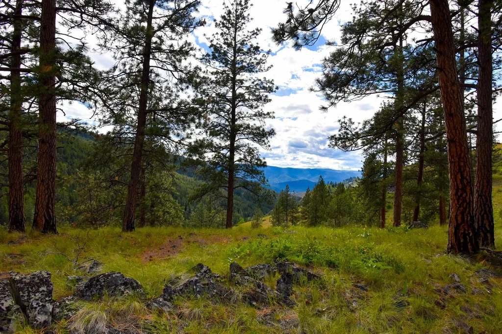 285 Henry Creek Road Plains MT 59859