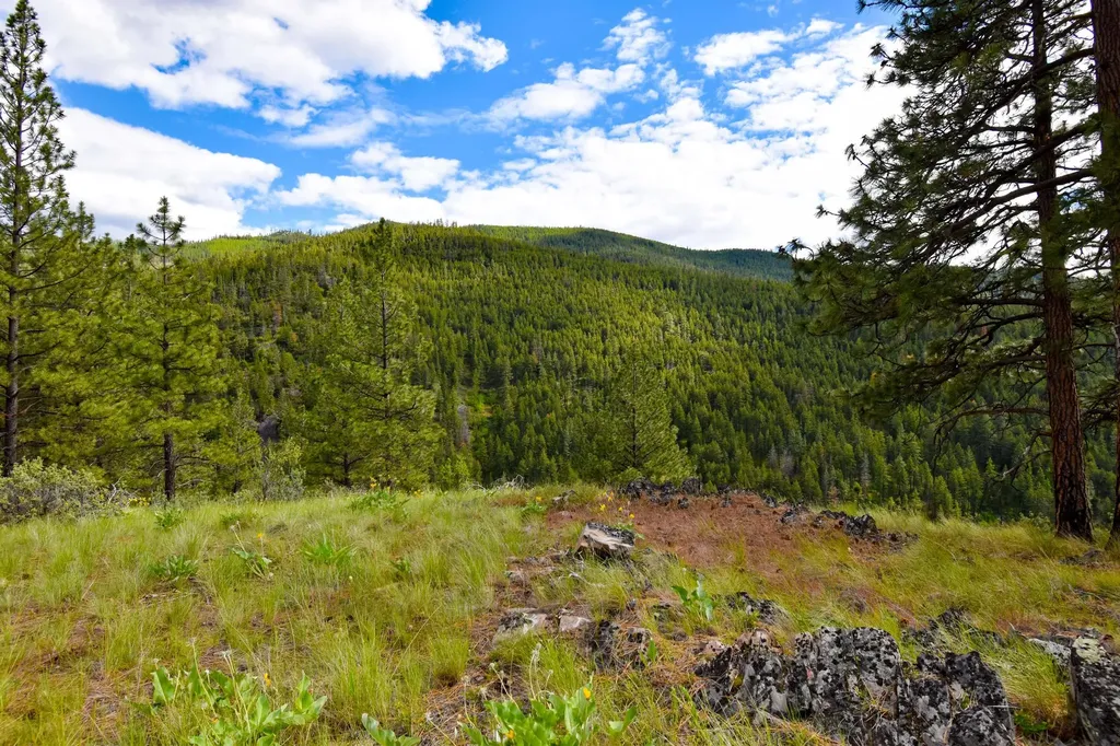 285 Henry Creek Road Plains MT 59859