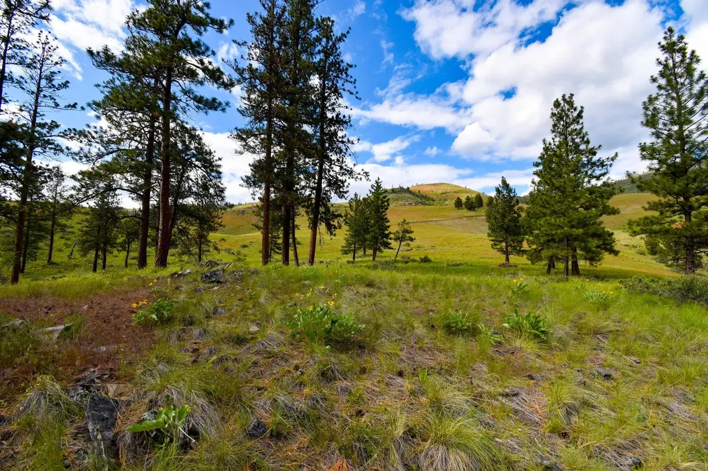 285 Henry Creek Road Plains MT 59859