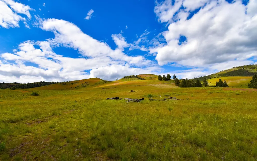 285 Henry Creek Road Plains MT 59859