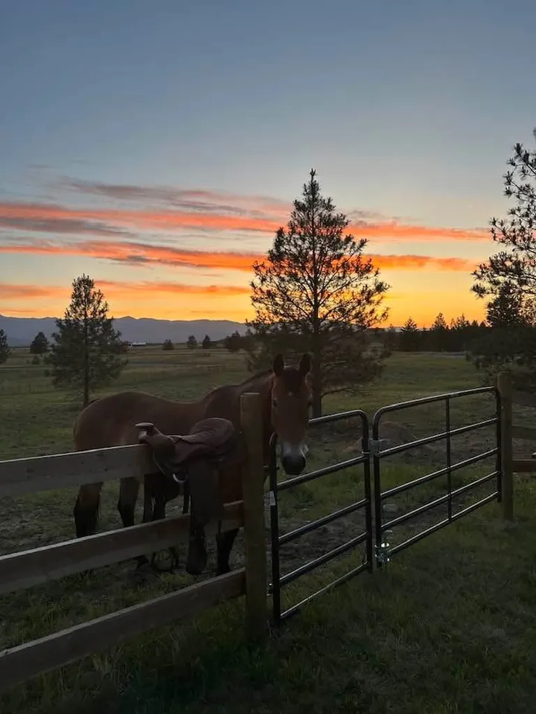 87 Velvet Grove Eureka MT 59917
