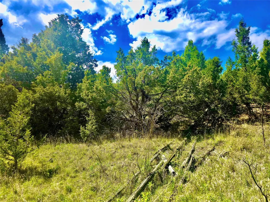 Block 172 Lots 1-12 Wallace Street Virginia City MT 59755