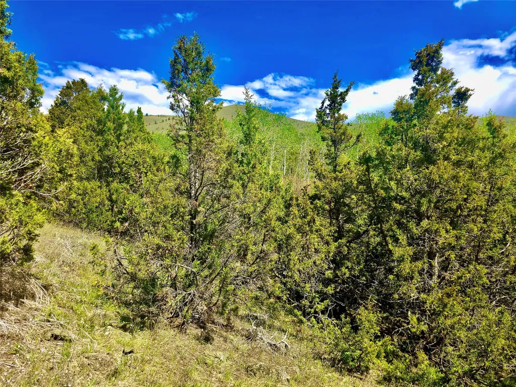Block 172 Lots 1-12 Wallace Street Virginia City MT 59755
